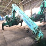 Nansei Crane -53515272